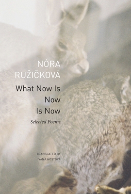What Now Is Now Is Now: Selected Poems - Nóra Ruzicková
