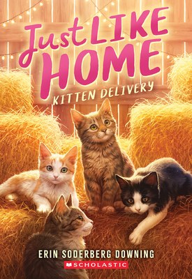 Kitten Delivery (Just Like Home, Book Two) - Erin Soderberg Downing