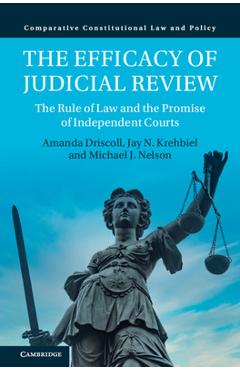 Coperta cărții 'The Efficacy of Judicial Review - Amanda Driscoll'