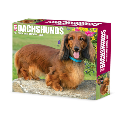 Dachshunds 2026 5.4 X 6.2 Box Calendar - 