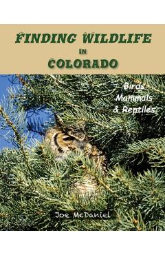Coperta cărții 'Finding Wildlife In Colorado: Birds, Mammals and Reptiles - Joe G. Mcdaniel'