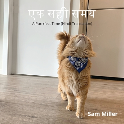 एक सही समय - Sam Miller