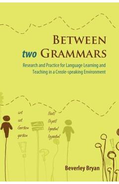 Poza produsului Between Two Grammars: Research and Practice for Language Learning and Teaching in a Creole-Speaking Environment - Beverley Bryan