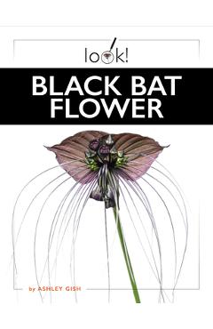 Coperta cărții 'Black Bat Flower - Ashley Gish'