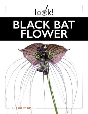 Black Bat Flower - Ashley Gish