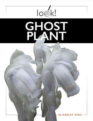 Ghost Plant - Ashley Gish