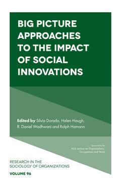 Poza produsului Big Picture Approaches to the Impact of Social Innovations - Silvia Dorado