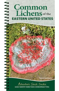Coperta cărții 'Common Lichens of the Eastern United States: Easily Identify More Than 55 Widespread Types - Tanner Barnharst'