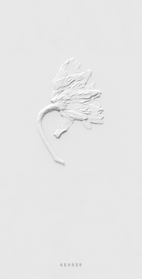 Ephemeral Field Journal: Climate + Love in Claude Monet's Garden - Sarah Schorr