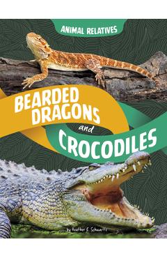 Bearded Dragons and Crocodiles: Reptile Relatives - Heather E. Schwartz