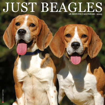 Beagles 2026 12 X 12 Wall Calendar - 