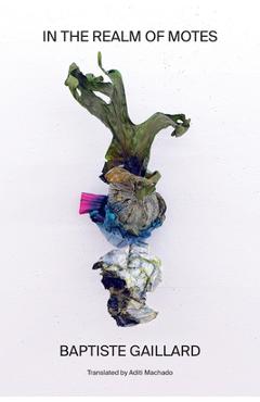 Poza produsului In the Realm of Motes - Baptiste Gaillard
