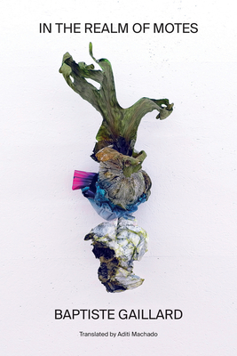In the Realm of Motes - Baptiste Gaillard