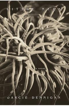 Coperta cărții 'Little Neck - Darcie Dennigan'