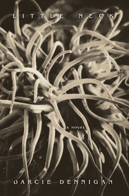 Little Neck - Darcie Dennigan
