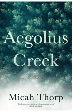 Poza produsului Aegolius Creek - Micah Thorp