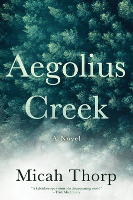 Aegolius Creek - Micah Thorp