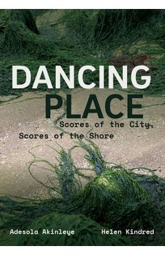 Coperta cărții 'Dancing Place: Scores of the City, Scores of the Shore - Adesola Akinleye'