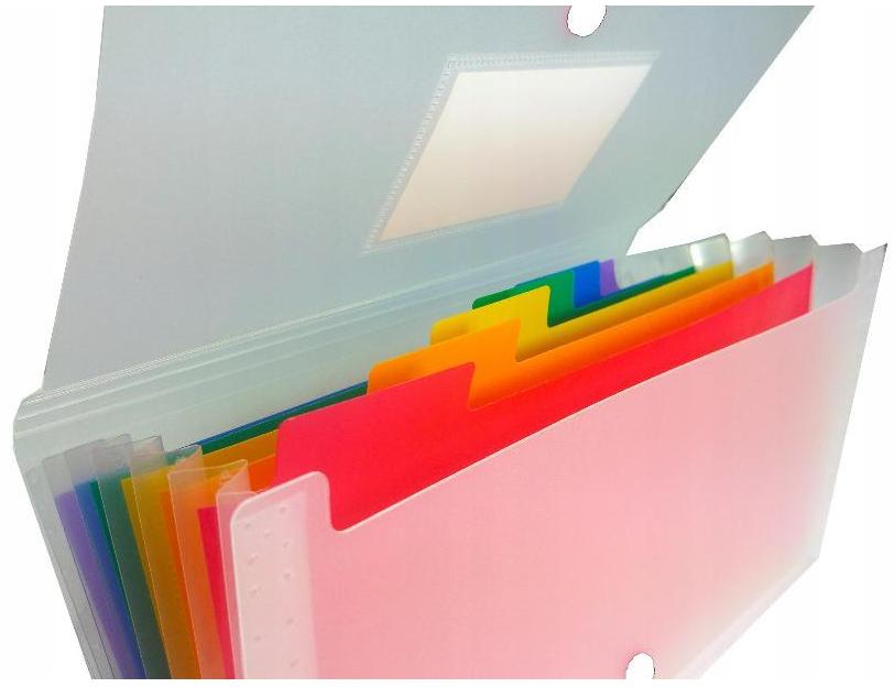 Dosar plic cu capsa si 6 compartimente colorate