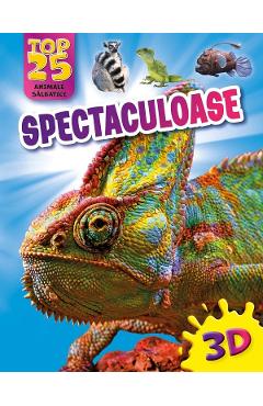 Coperta cărții 'Top 25 animale sălbatice spectaculoase 3D'