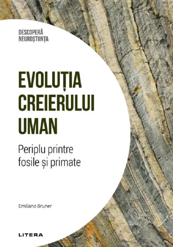 Descopera Neurostiinta. Evolutia creierului uman. Periplu printre fosile si primate - Emiliano Bruner