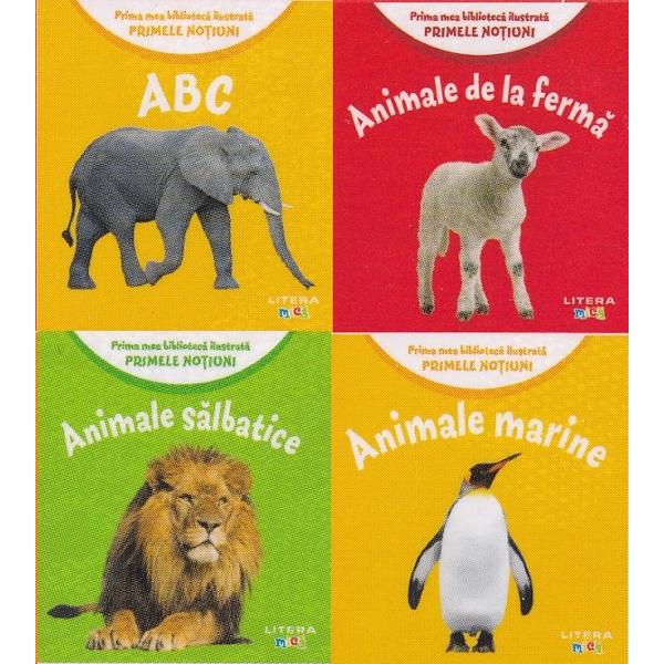 Cutie prima mea biblioteca ilustrata. Primele notiuni