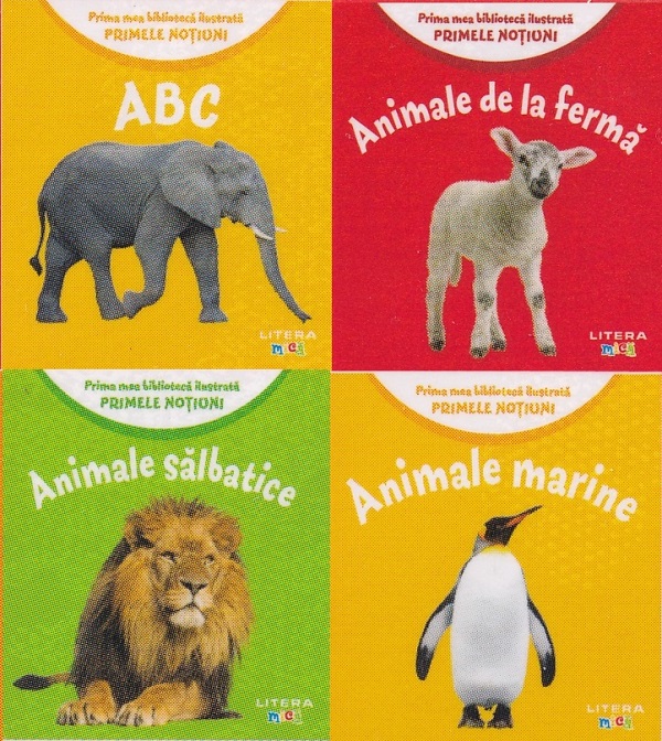 Cutie prima mea biblioteca ilustrata. Primele notiuni