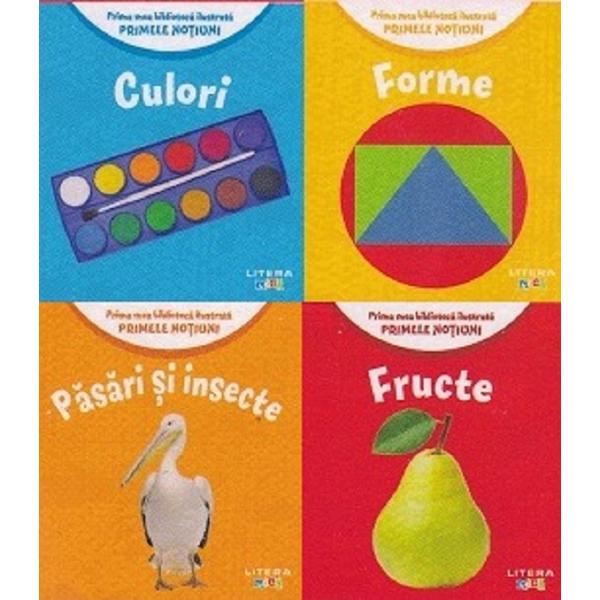 Cutie prima mea biblioteca ilustrata. Primele notiuni