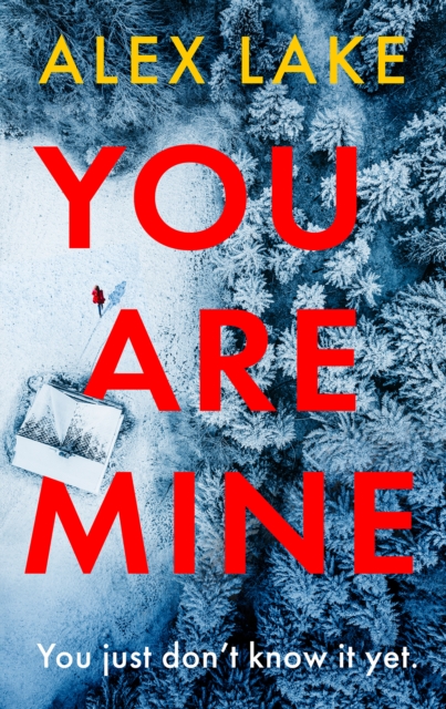 Coperta cărții 'You Are Mine - Alex Lake'