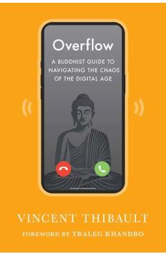 Coperta cărții 'Overflow - Vincent|khandro Thibault'