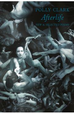 Coperta cărții 'Afterlife - Polly Clark'