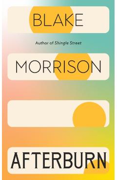 Coperta cărții 'Afterburn - Blake Morrison'