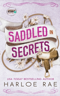 Saddled in Secrets: A protective bodyguard small town standalone romance - Harloe Rae