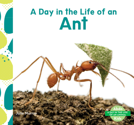 Day in the Life of an Ant - Julie Murray
