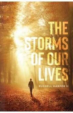 Coperta cărții 'The Storm of Our Lives: 