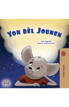 Coperta cărții 'A Wonderful Day (Haitian Creole Book for Children) - Sam Sagolski'