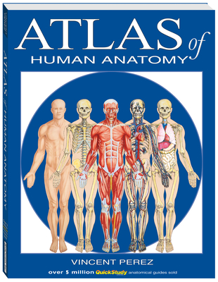 Atlas of the Human Anatomy: A Quickstudy Reference - Vincent Perez