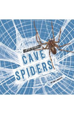 Cave Spiders
