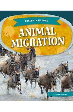 Poza produsului Animal Migration - Samantha S. Bell