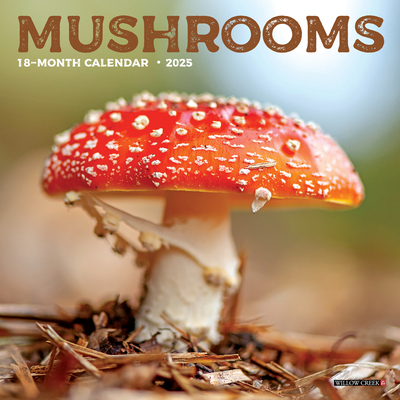 Mushrooms 2026 7 X 7 Mini Wall Calendar - 