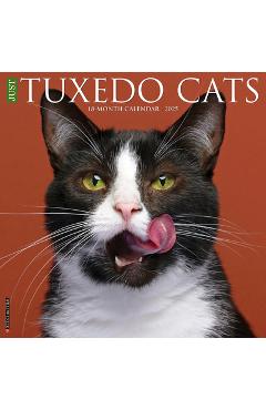 Coperta cărții 'Tuxedo Cats 2026 12 X 12 Wall Calendar -'