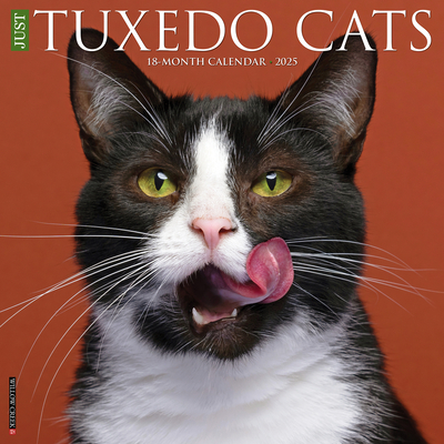 Tuxedo Cats 2026 12 X 12 Wall Calendar - 