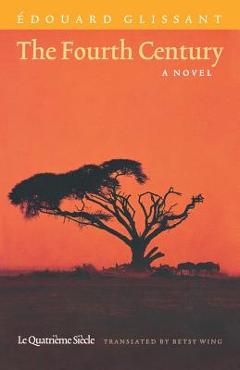 Poza produsului The Fourth Century - Betsy Wing