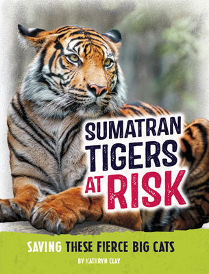 Sumatran Tigers at Risk: Saving These Fierce Big Cats - Kathryn Clay
