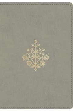 Coperta cărții 'ESV Large Print Compact Bible, Red Letter (Trutone, Stone, Branch Design) -'