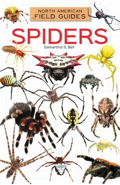 Poza produsului Spiders - Samantha S. Bell
