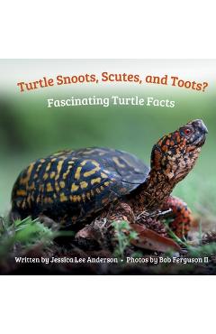 Coperta cărții 'Turtle Snoots, Scutes, and Toots? Fascinating Turtle Facts - Jessica Lee Anderson'