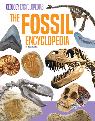 Fossil Encyclopedia - Miles Herman