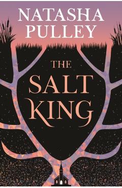 Coperta cărții 'The Salt King - Natasha Pulley'