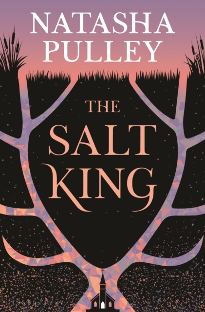 Coperta cărții 'The Salt King - Natasha Pulley'